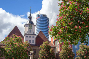 Blick auf das Rathaus in Jena mit Kastanienblüten im Vordergrund