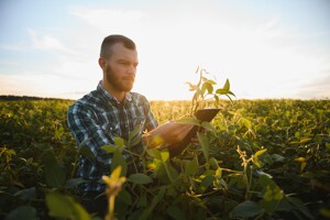 Mann steht mit Klemmbrett auf Feld und prüft Pflanze