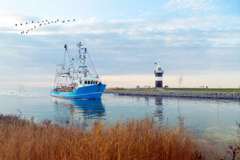 Fischkutter fährt in den Bremerhafen ein