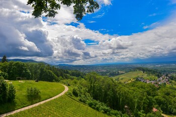 Blick auf die Oberrheinische Tiefebene