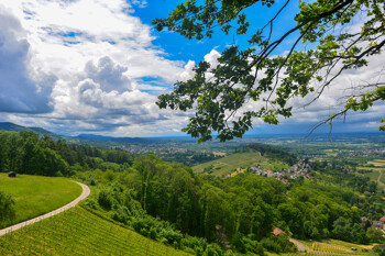 Die Tiefebene Bühl im Landkreis Rastatt