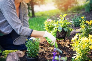 Eine Frau arbeitet an einem Blumenbeet im Garten