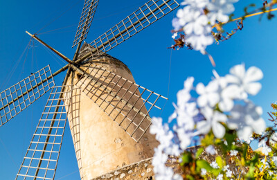 Windmühle von unten betrachtet