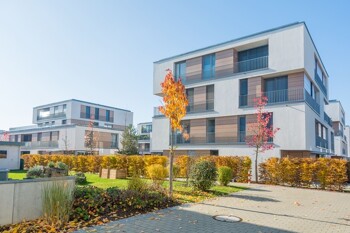 Herbstlaub vor modernem Neubaugebiet