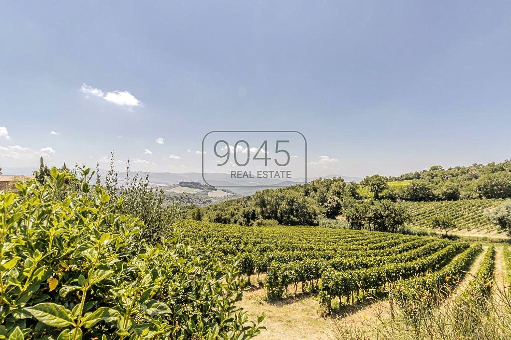 Exklusives Anwesen mit Villa, Bio-Weinbergen und Entwicklungspotenzial nahe Bolgheri