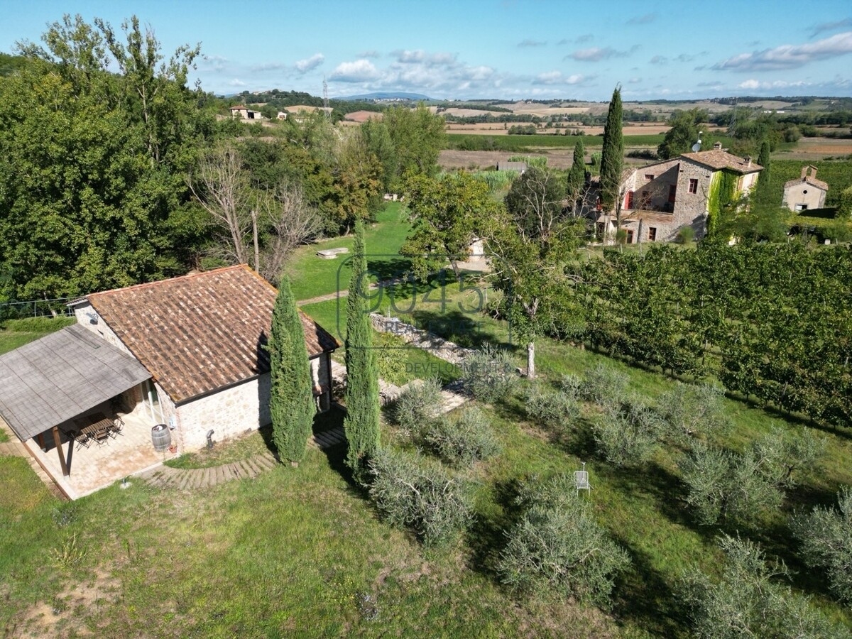 Toskanisches Borgo mit Weinbergen im Herzen der Hügel von Siena