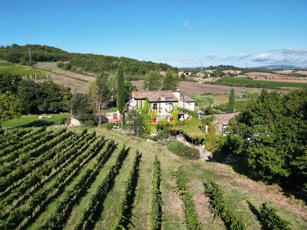 Toskanisches Borgo mit Weinbergen im Herzen der Hügel von Siena