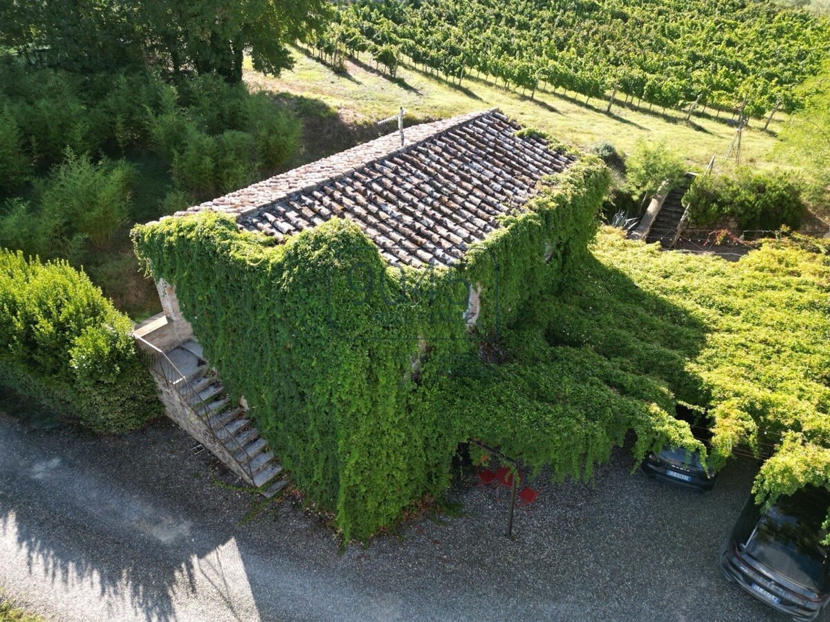 Toskanisches Borgo mit Weinbergen im Herzen der Hügel von Siena