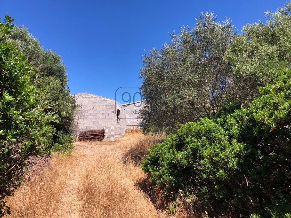 Exklusiver „Stazzo Gallurese“ mit Meerblick und großem Naturgrundstück – Aglientu