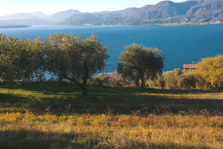 Offmarket: Neubauvilla der Extraklasse in Torri del Benaco / Albisano - Gardasee