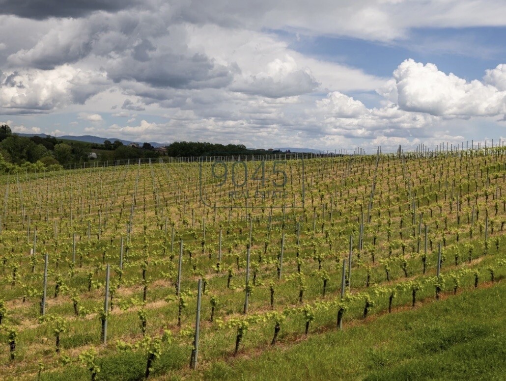 "Azienda Agricola" im Herzen der Toskana in Montepulciano - Italien