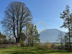 1a Baugrund Kieferswfelden (2)