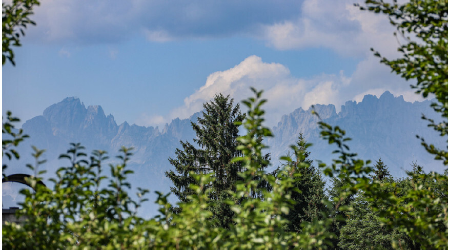 Kaiserblick