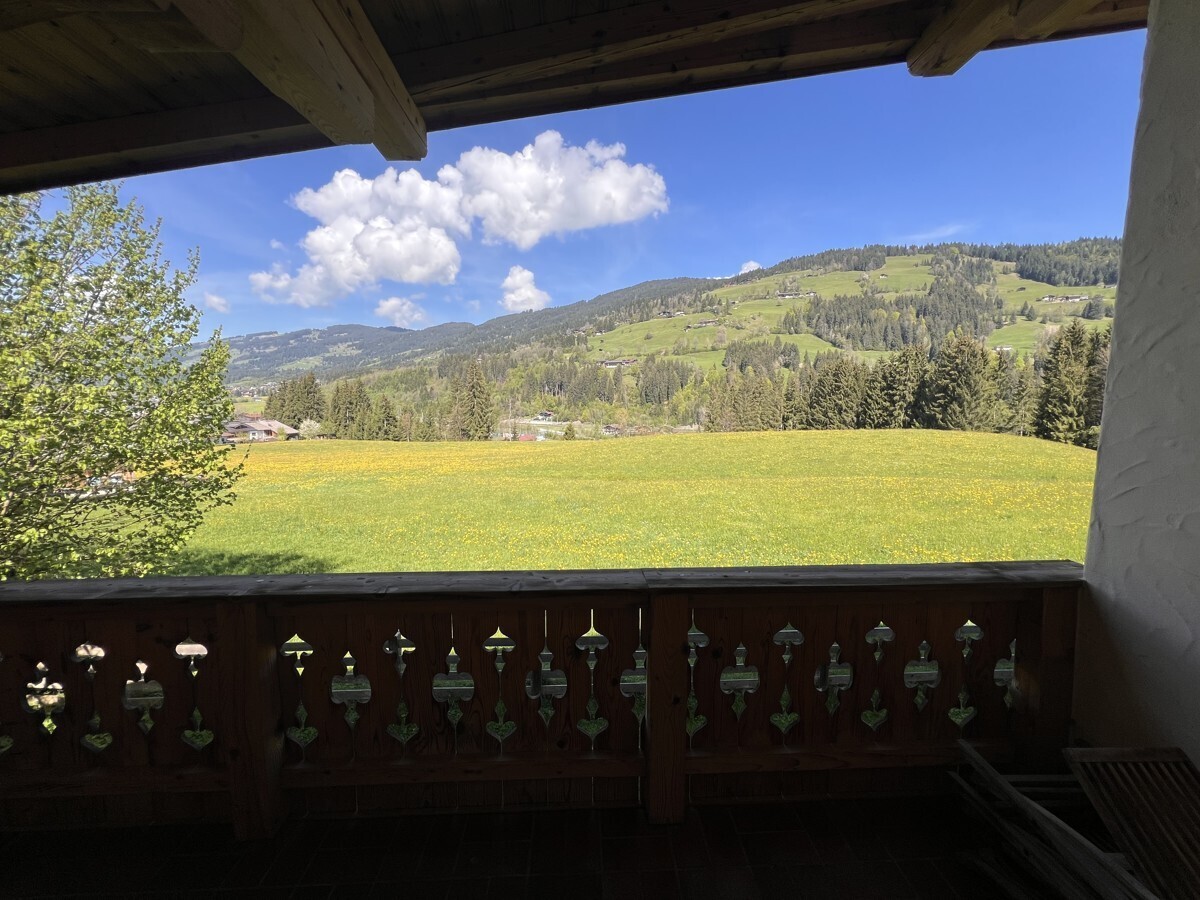 Panoramische Ausblicke 