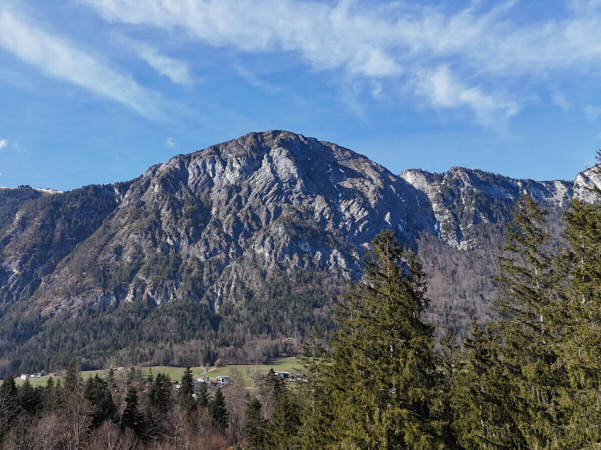 Wohnen in Alleinlage am Waldesrand