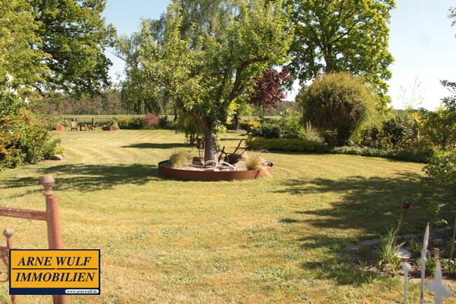 Blick nach hinten Garten