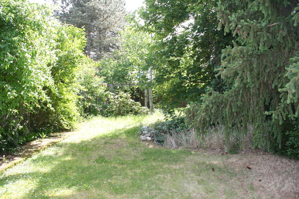 Blick in den Garten
