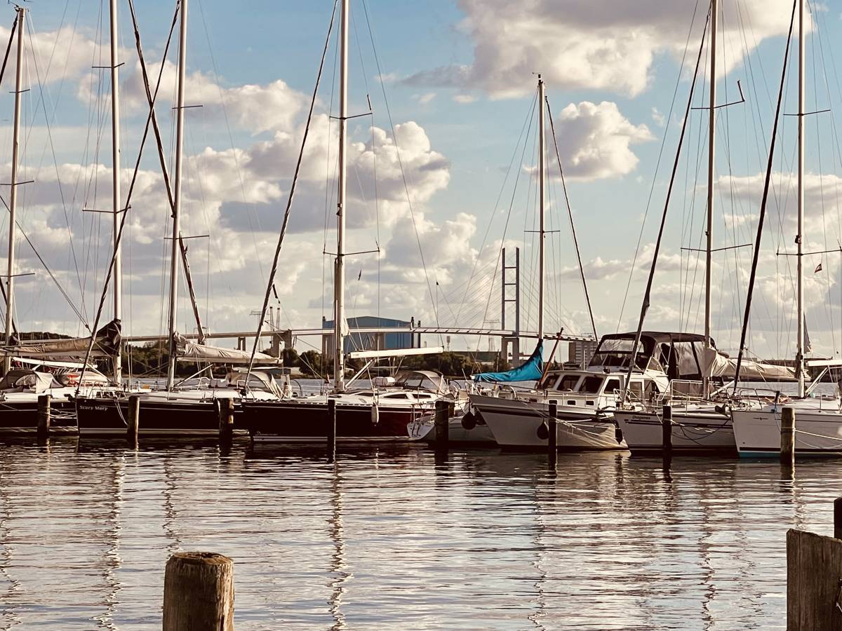 Hafen & Rügenbrücke