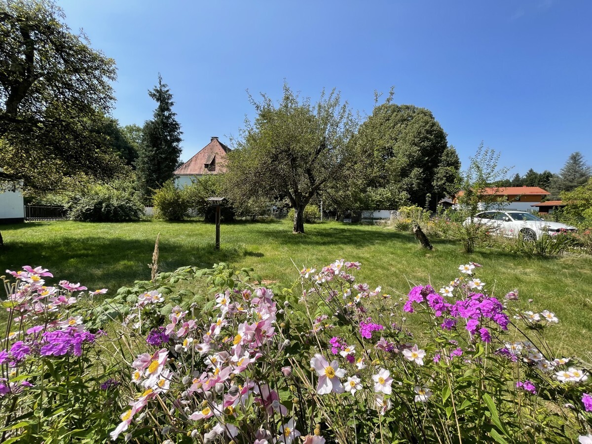 Immobilienbild