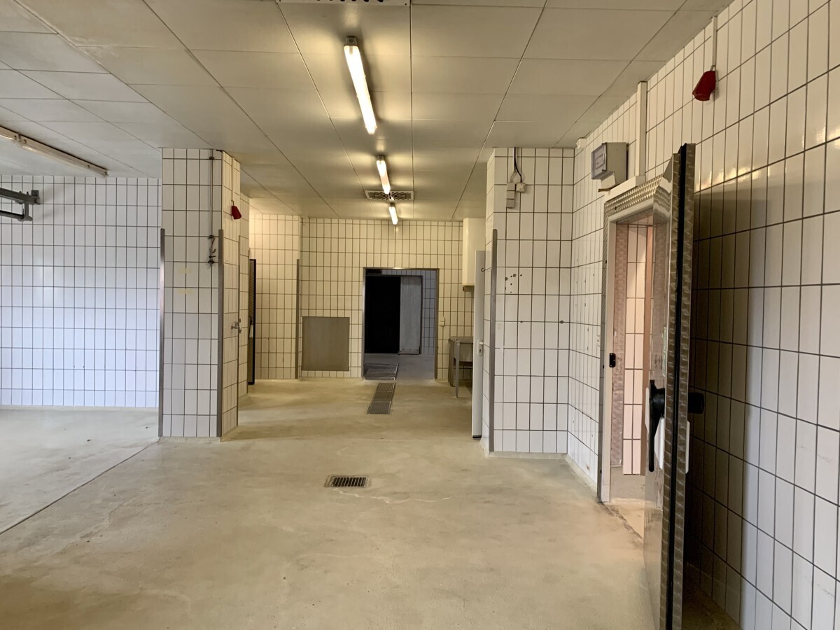 Flur_mit_Kühlzellenanordnung (2)