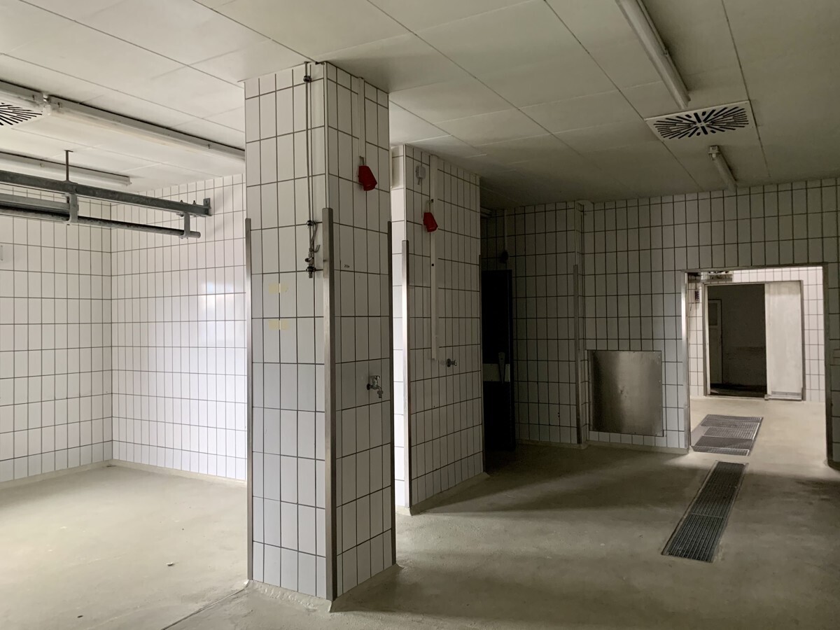 Kühlhausflur mit Verarbeitungsmöglichkeit (1)