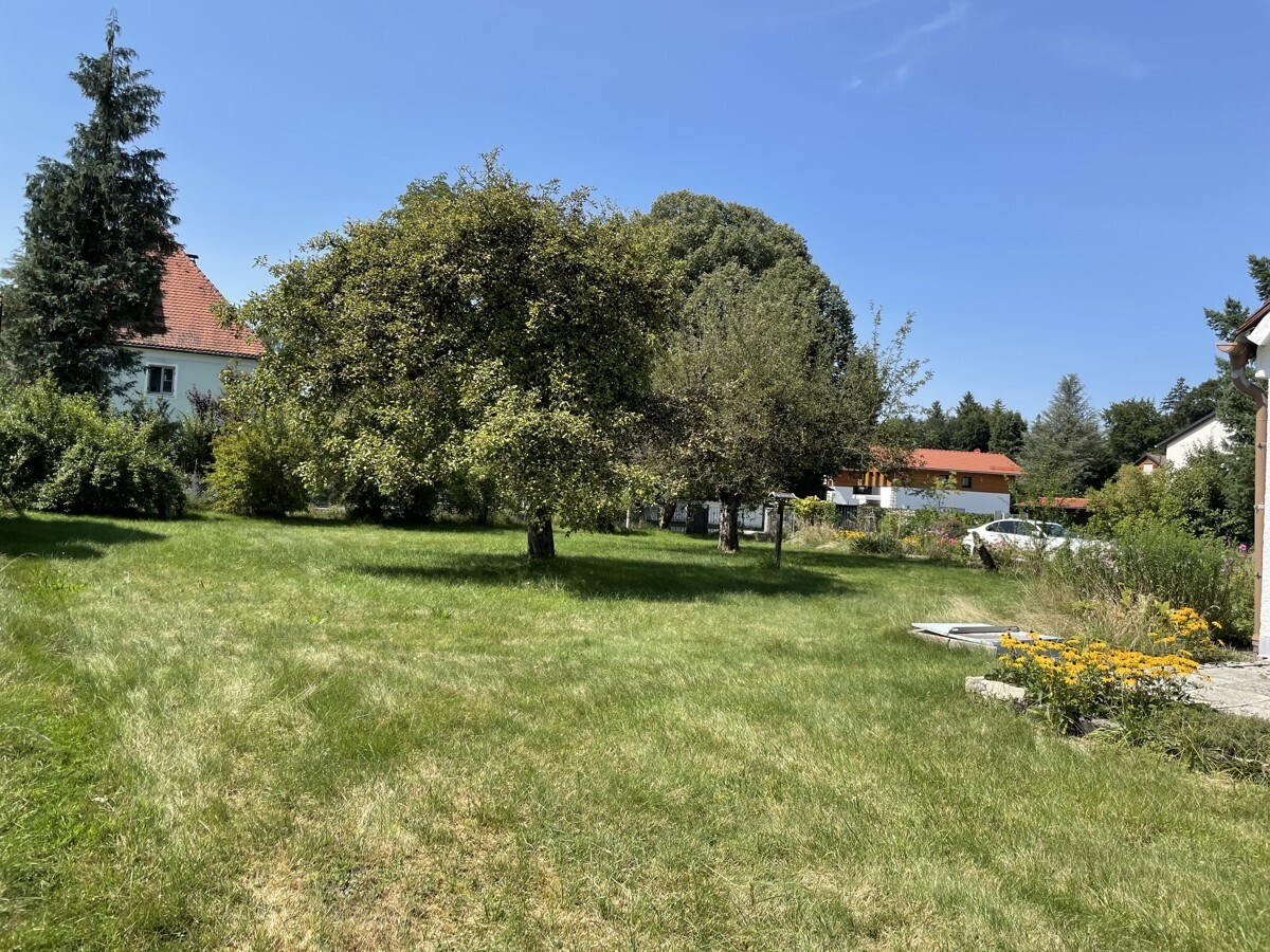 Immobilienbild