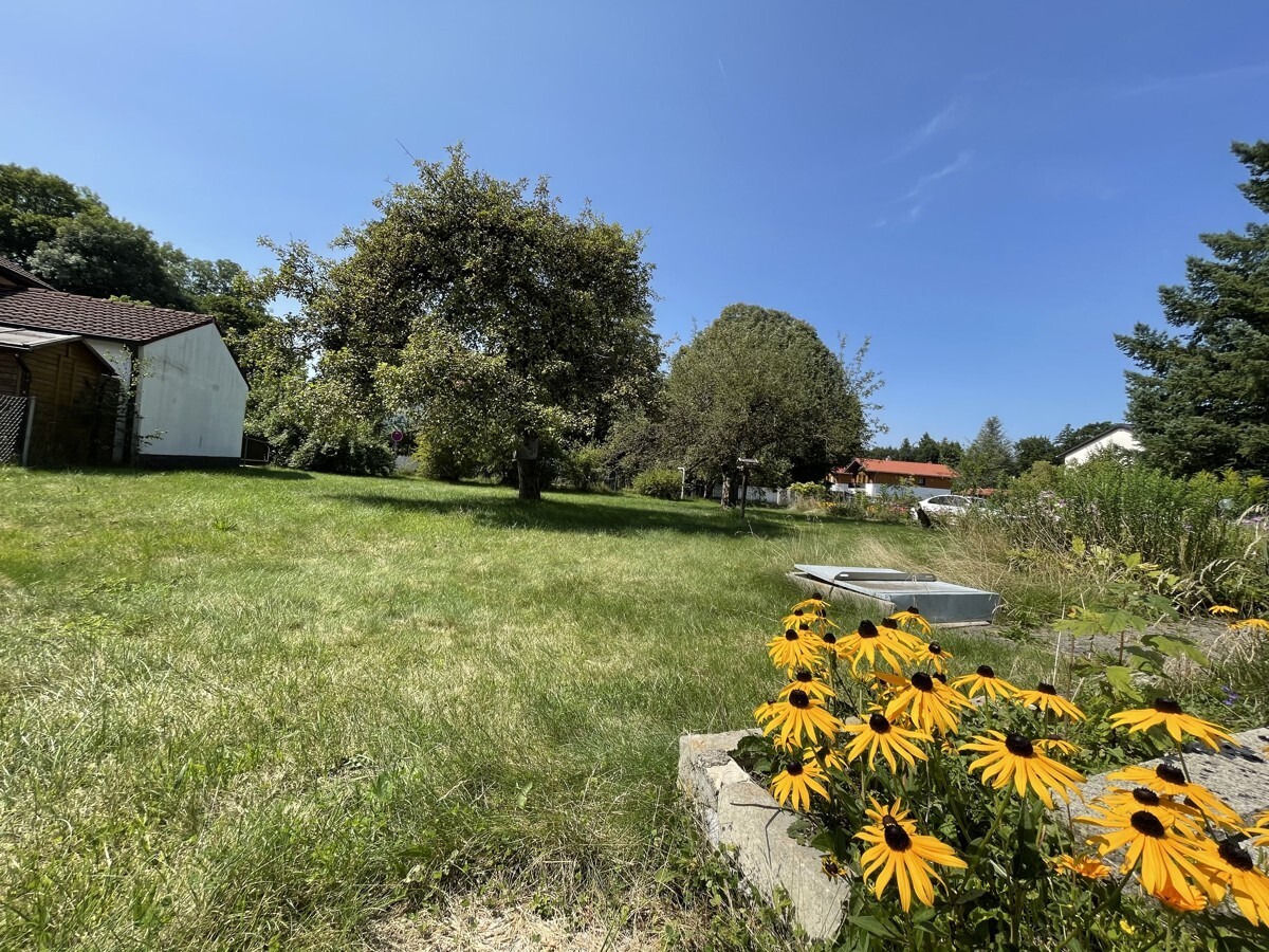 Immobilienbild