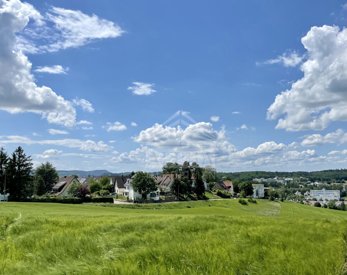 Panoramaaussicht_3