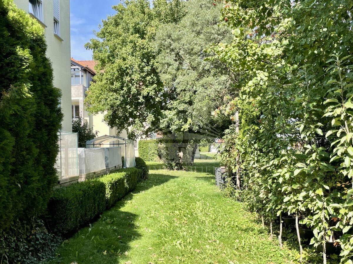 Ostseite mit Hochbeeten und Beerengarten