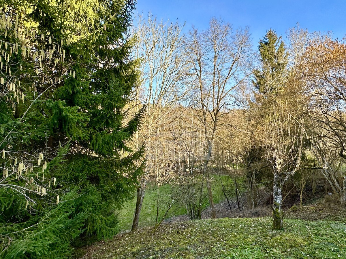 Gartenimpressionen