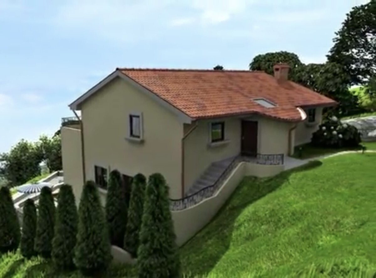 Visualisierung_Villa 1