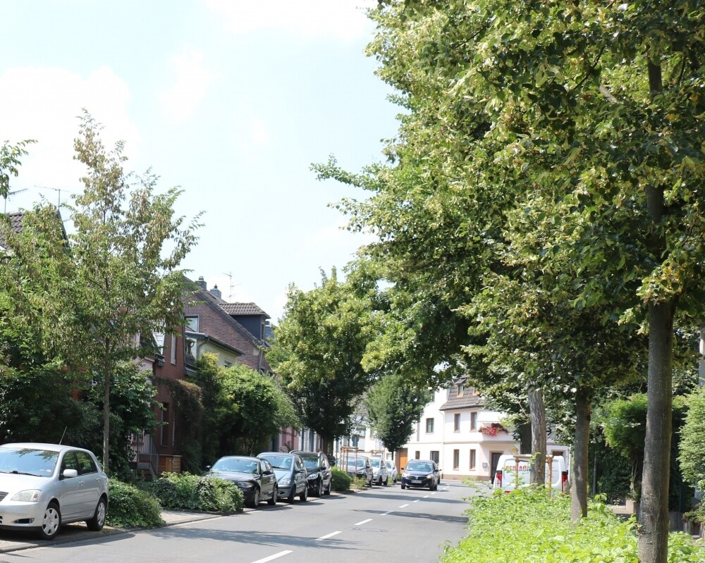 Strassenansicht  Franzstr. 62,Frechen 034 (2)