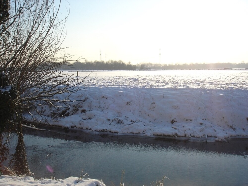 Blick vom Garten in den Bach