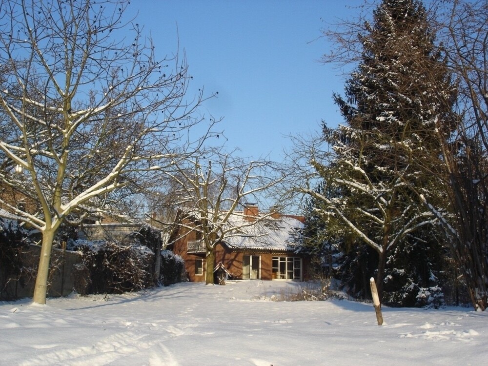 Blick von Garten auf das Haus