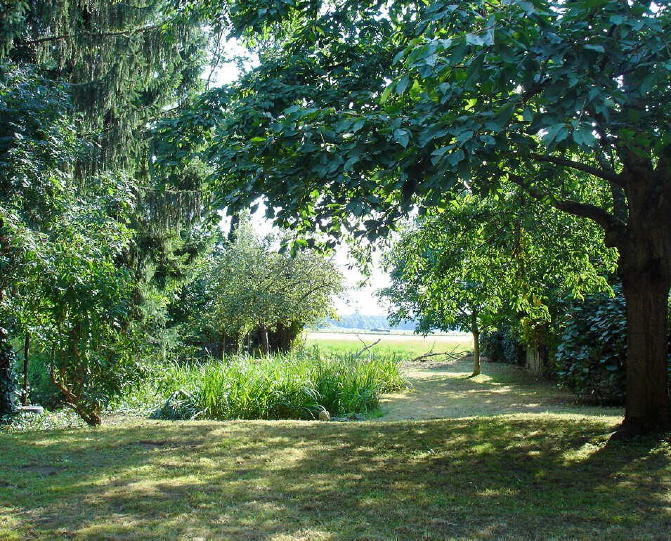 Südwestsicht Blick in den Garten aus dem Wohnzimmer
