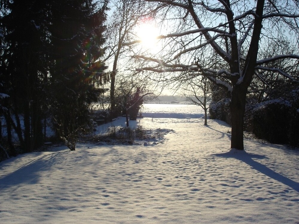 Blick in den Garten Winter