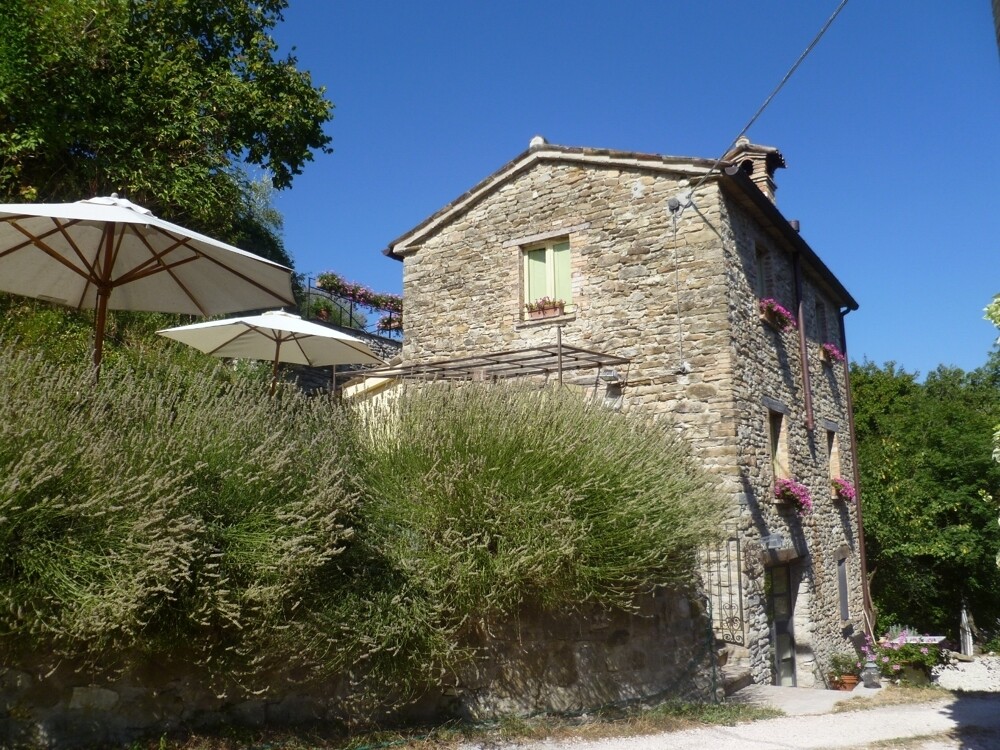 Haus