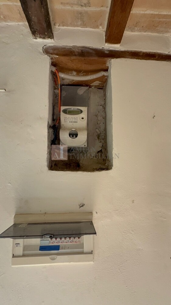 Elekronik