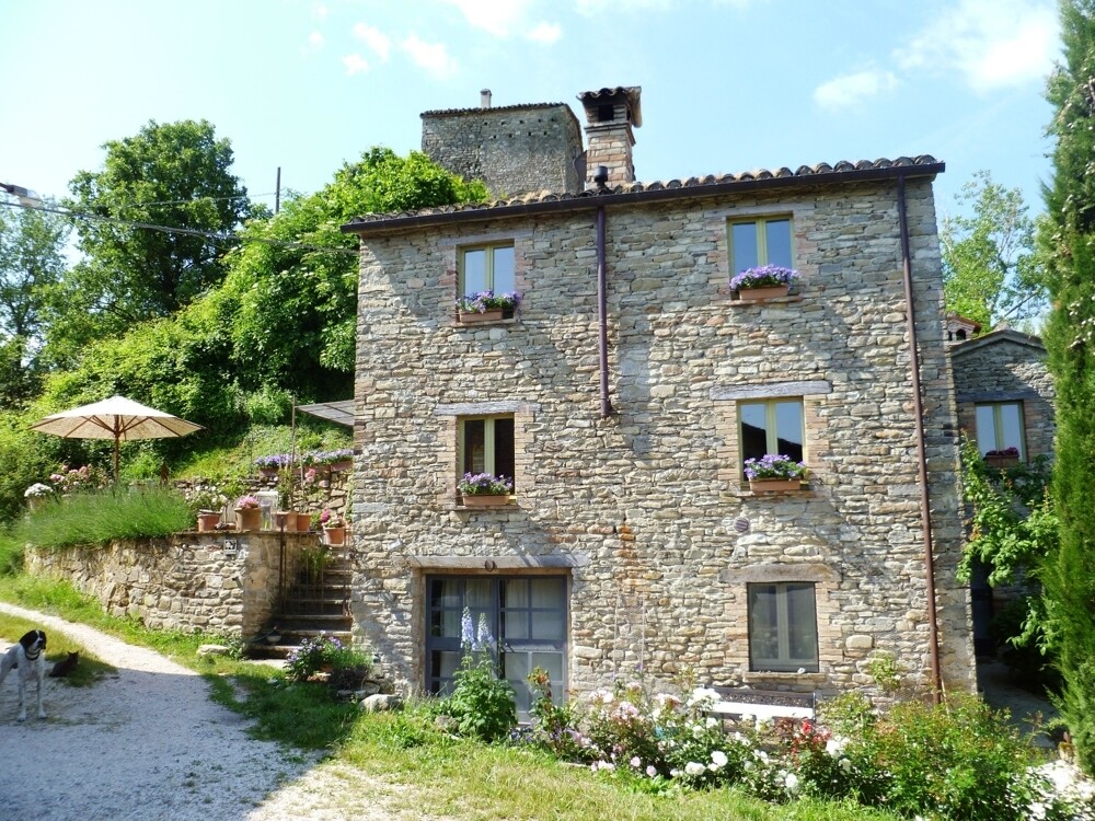 Haus