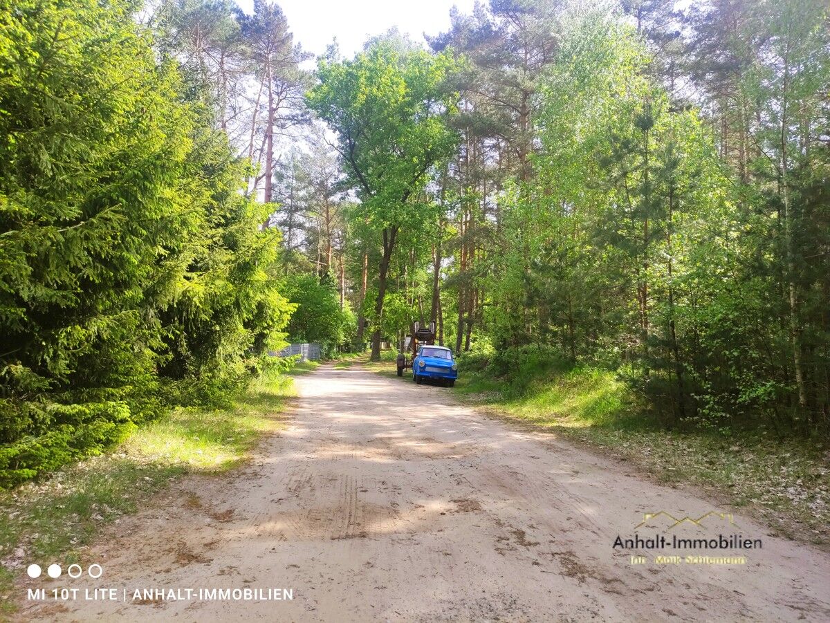 Waldweg