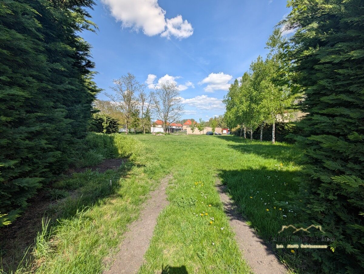 Freifläche 