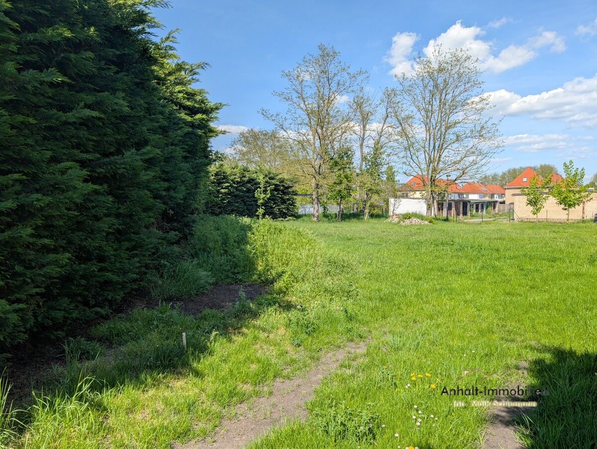 Freifläche