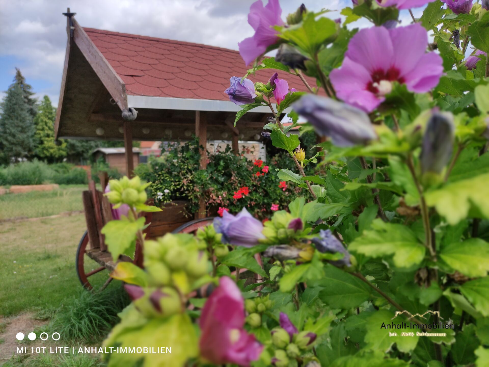 Garten - Teilansicht (4)