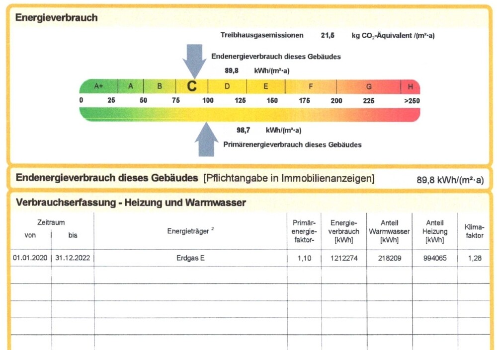 Auszug Energieausweis