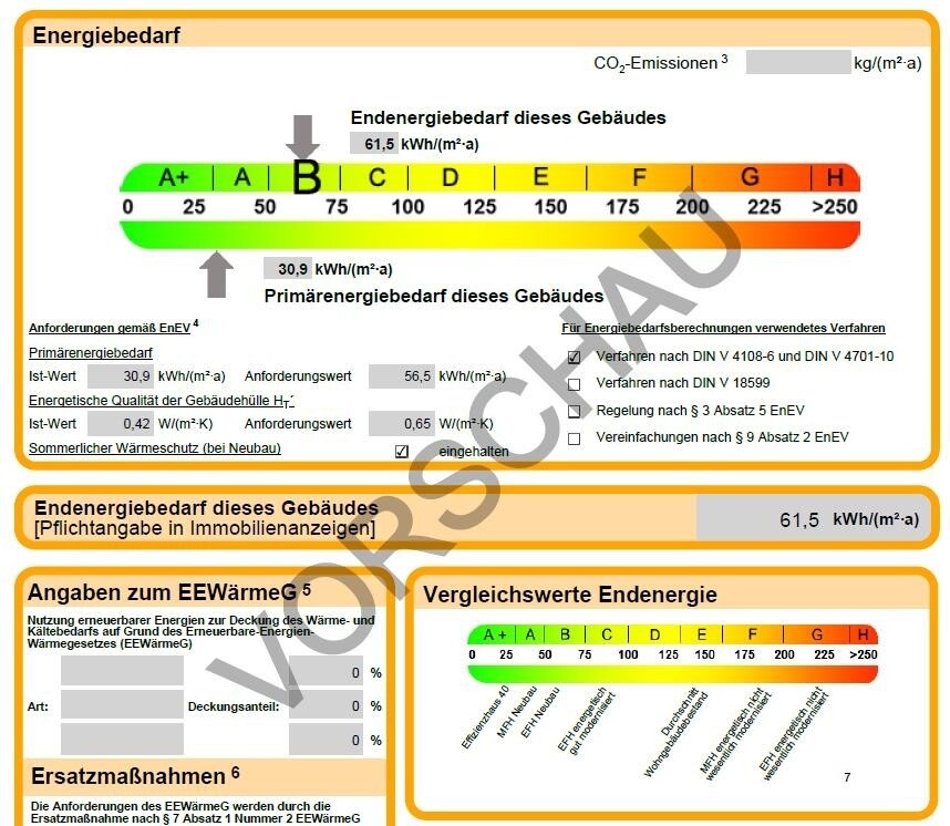 Auszug Energieausweis