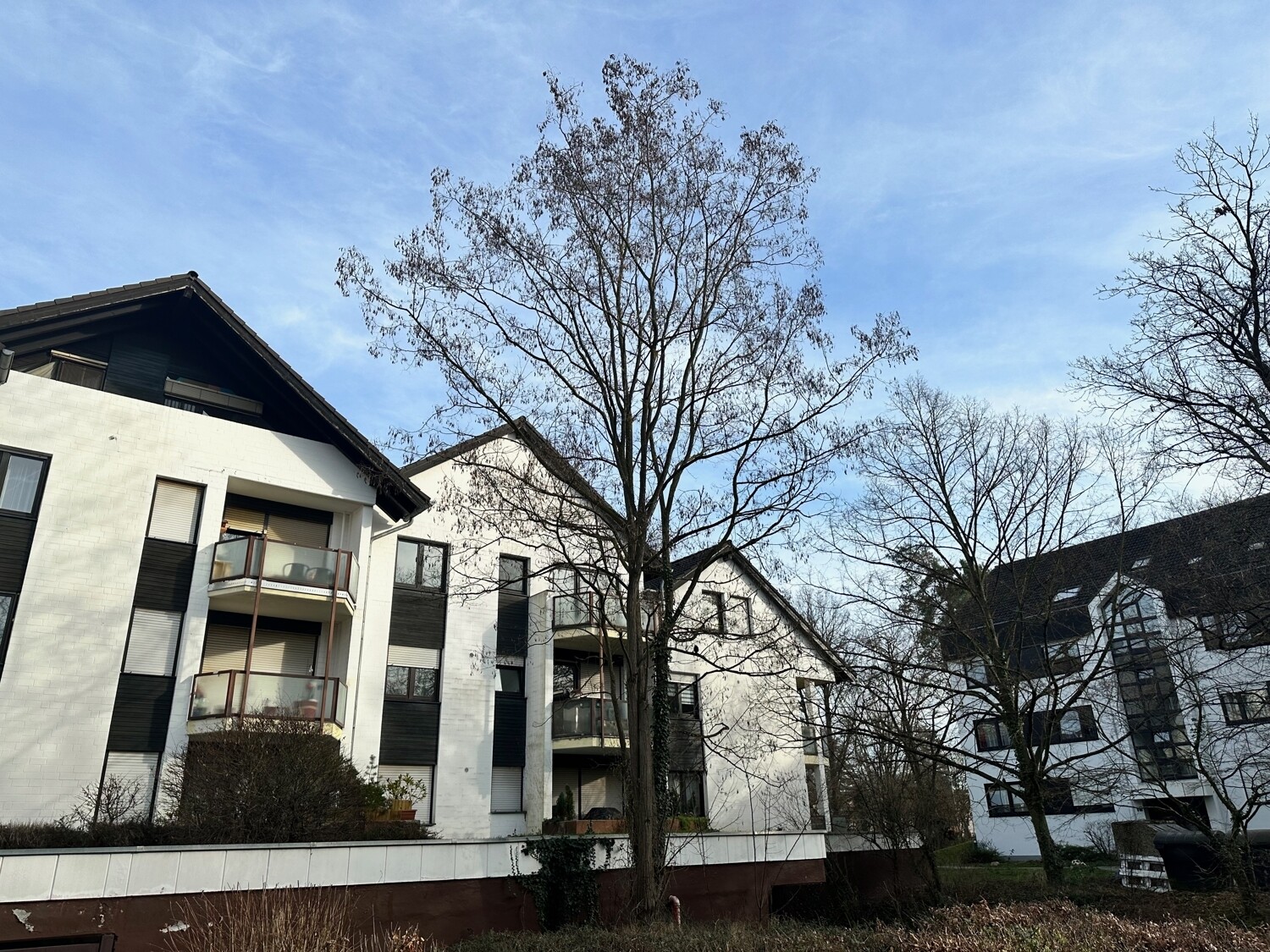 Hausansicht Rückseite