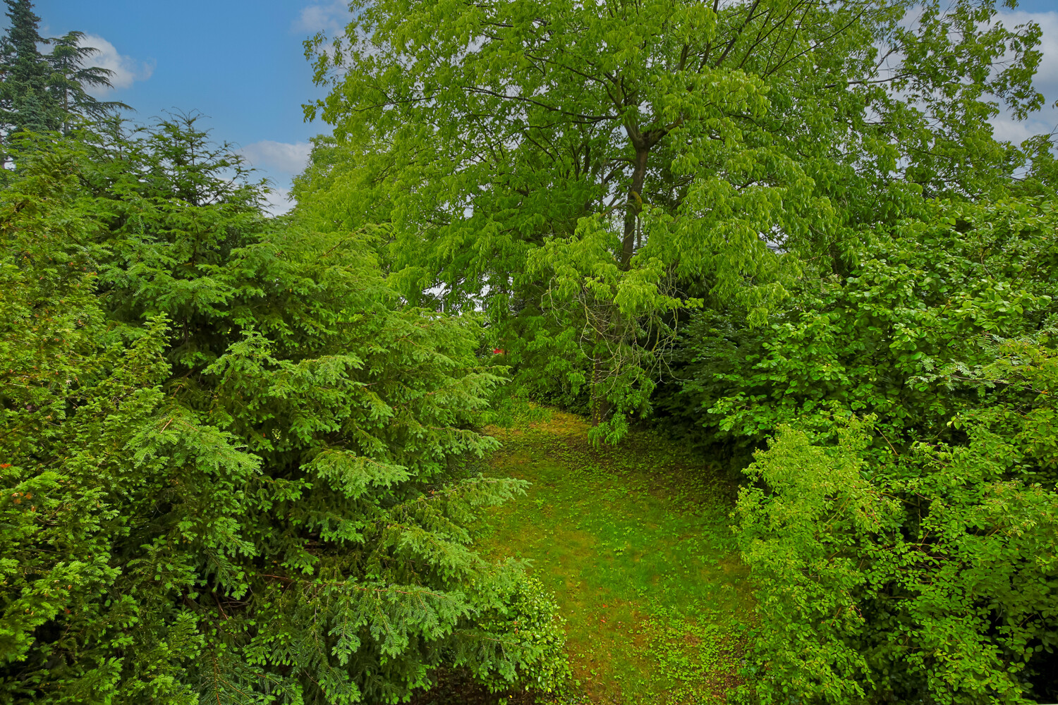 Garten