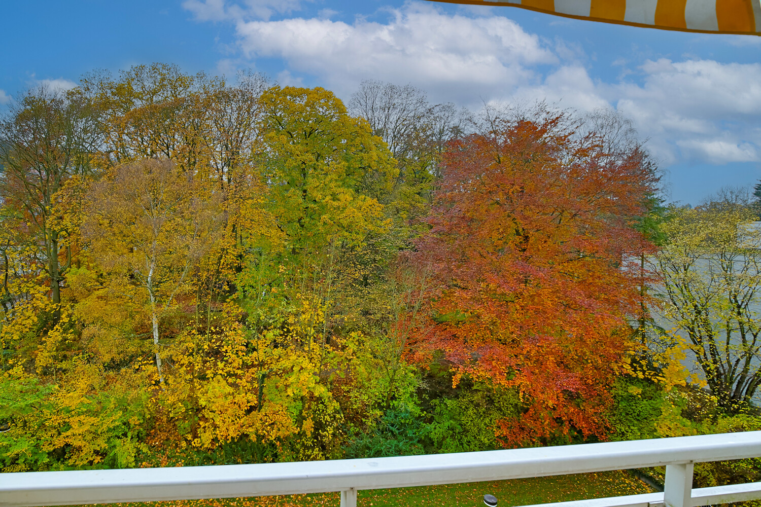 Ausblick Balkon 1