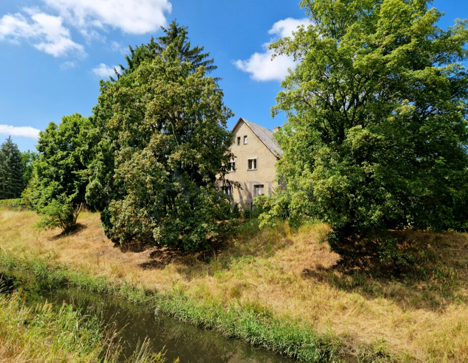 Blick über den Buschgraben
