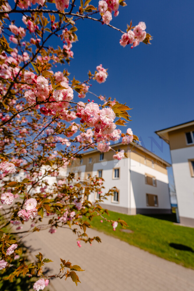 Immobilienbild